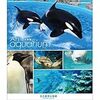 超おすすめ水族館・名古屋港水族館