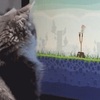 「（タイミングを計って）・・・よし、今だ！・・・おっけ～にゃ♪」凄くゲームが上手い猫のGIF画像／猫ゲーム「うんにゃんこ」 他、可愛い猫画像多数！