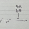 光合成ってなんなん？　part.5 光化学系Iをわかりやすく解説するよ！