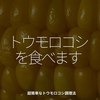 2435食目「トウモロコシを食べます」超簡単なトウモロコシ調理法