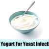 YOGURT FOR YEAST INFECTION