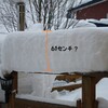 大雪だー