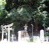 松戸浅間神社に行ってきました