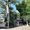 平等院の鎮守社！『蜻蛉日記』にも登場する縣神社