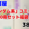 半分以上が〇〇！？「ガンダム系コミック 10冊セット」福袋を開封！【380円】