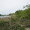 2024/04/26 拝島・昭島散歩 04 アケボノゾウ化石発見地/拝島橋/拝島町四丁目南児童遊園/オーケー・島忠ホームズ昭島店/拝島歩道橋/白山神社/拝島大師