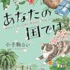 世界情勢を血肉とする『あなたの国では』（小手鞠 るい）