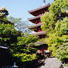 四国八十八所の霊験・・・２４