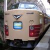 【乗車記】JR東日本 快速マリンブルーくじらなみ～183系（柏崎→熊谷）