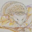 yuupytan’s blog〜自分が感じたことが全て＊全て受け入れながら生きていく〜