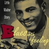 Blues with a feeling: The Little Walter Story