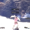 【mhw】双剣を使ってみたお話