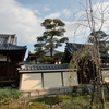 京都国立博物館「宸翰天皇の書」