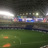 プロ野球！中日ドラゴンズを応援したくなる理由5選！