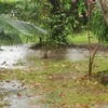 この雨は異常です。