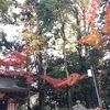 秋の京都と倉木麻衣