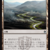 MTG：「Masters 25th」Part.8