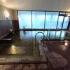 星川温泉【ホテル水明館】日帰りブログ「温泉街有数の大型旅館！」