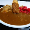 煮込みカツカレー。本家絶品 煮込みカツカレーの店