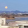 ウルフムーン