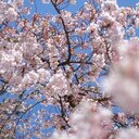父と過ごす時間