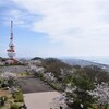 近隣桜の名所（湘南平展望台からの風景）