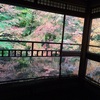 初めての「瑠璃光院」ほか、京都旅行。