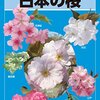 桜の花は下側から咲き始めるナゾ(・・?