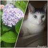 2017年　わおん病院へ行く③