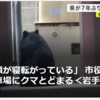 【全国的に頻発するクマ被害について……5／25－26　クマ「出没注意報」を「警報」に切り替え・7年ぶり　人的被害相次ぐ〈岩手県〉】＃400