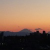 この週末は。
