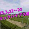 2025,3,22～23 トラックバイアス結果 (中山競馬場　阪神競馬場　中京競馬場)