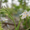 今日から４月‥でも、既に春爛漫