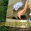 【保護猫】ダンボールで捨てられていた子猫を保護