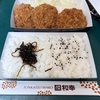 今日の昼ごはん