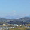 本妙寺山緑地公園→北本妙寺林道2026.2月②