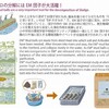 EMだんごを投下する前に考えて欲しい事