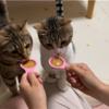 歯磨きを頑張ったのでご褒美‼️