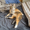 寝る子は育つ。