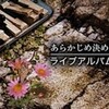 あらかじめ決められた恋人たちへが4月にライブするみたい