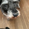 ふくすけ特集やっちゃうよ