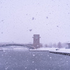 雪の環水公園