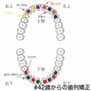 【調整21回目】アンカースクリューはある日突然に