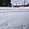 雪と闘う。雪の美しさに感嘆する。雪と共に暮らす。雪国に住むものとしての覚悟ってやつ⛄