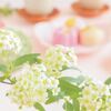 和菓子と洋菓子の違い｜それぞれの特徴と日本ならではの魅力