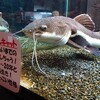 道の駅みなかみ水紀行館 (8/16)