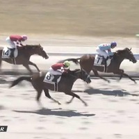 出資馬チャチャコマニが勝ちました！