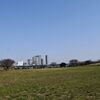 夏草の勢いと新しいものが入る余地