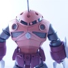 HG ズゴック(FREEDOM)　製作11 完成