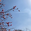 遊び場を開くか閉じるか。